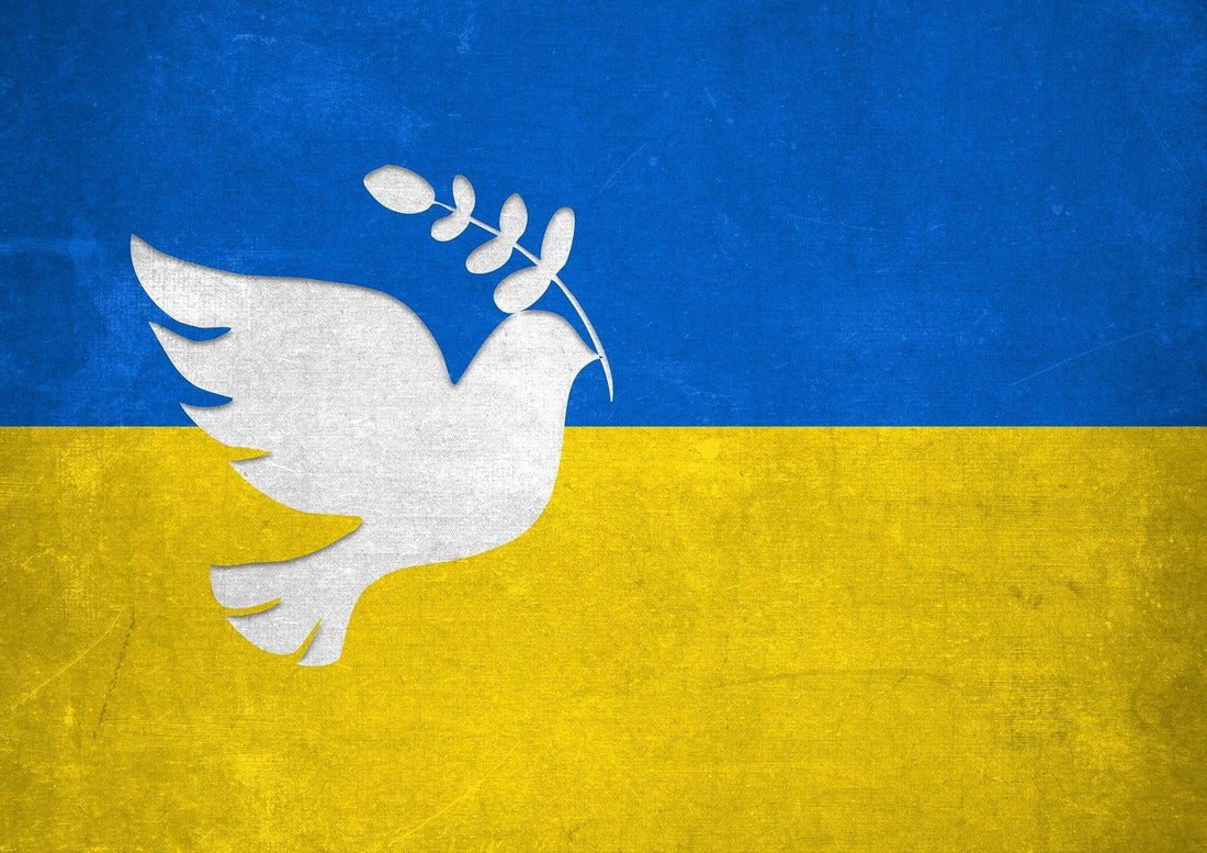 Ukraine and me LadyLunarCat