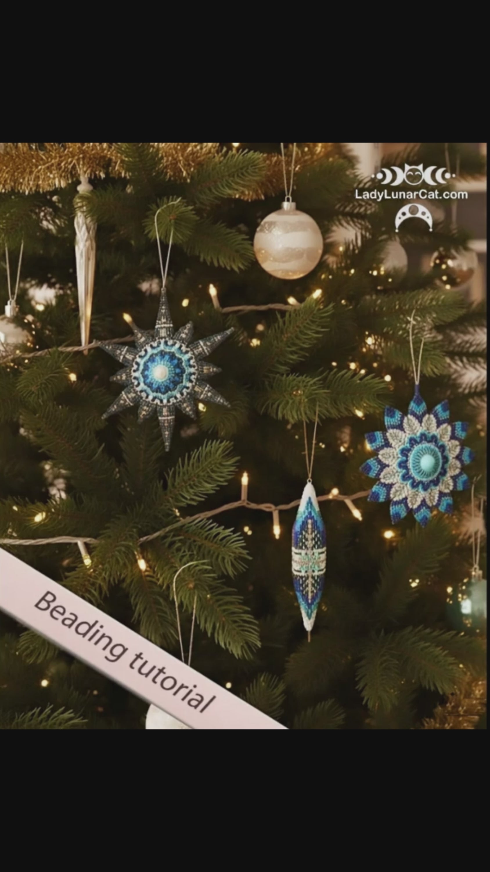 updated#gid://shopify/Video/48402229788949#video_id