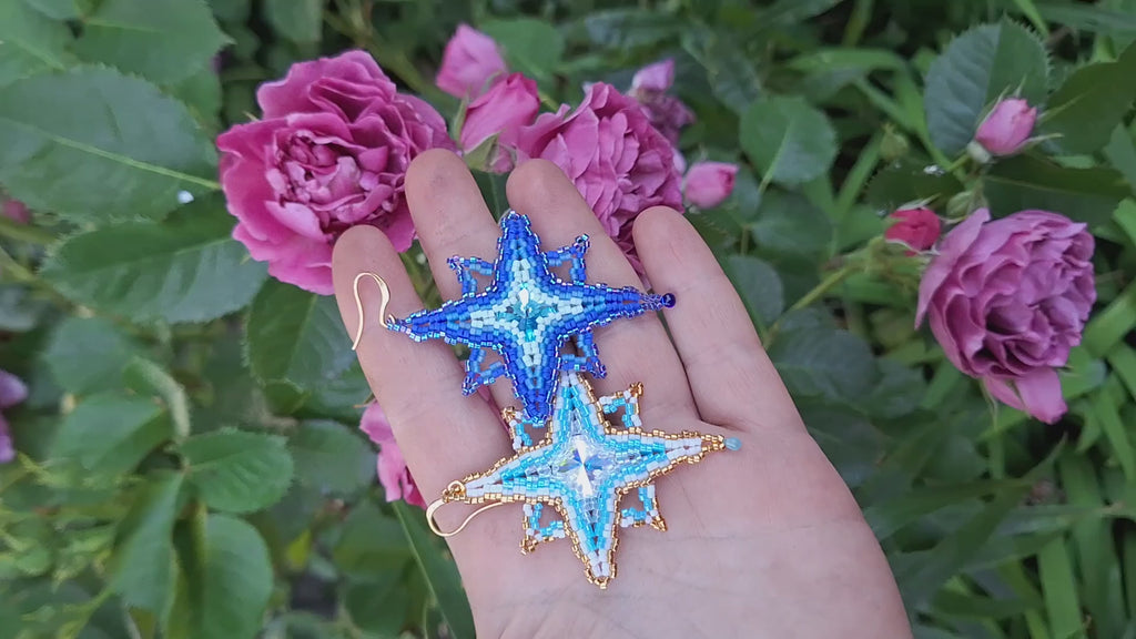 updated#gid://shopify/Video/LadyLunarCatStellaPolaris24T001