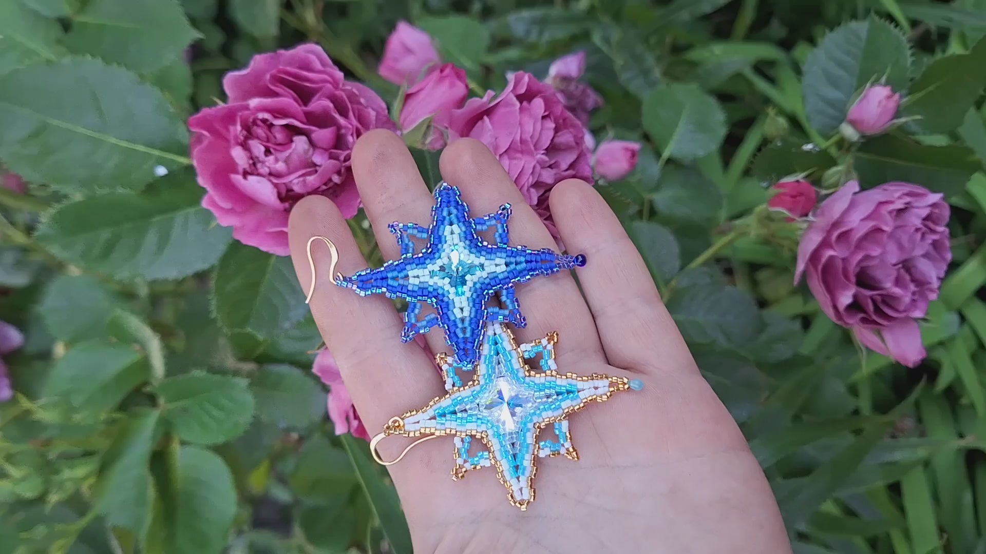 updated#gid://shopify/Video/LadyLunarCatStellaPolaris24T001