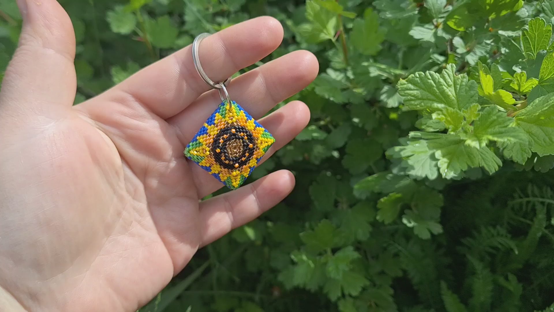 updated#gid://shopify/Video/46615915823381#video_id