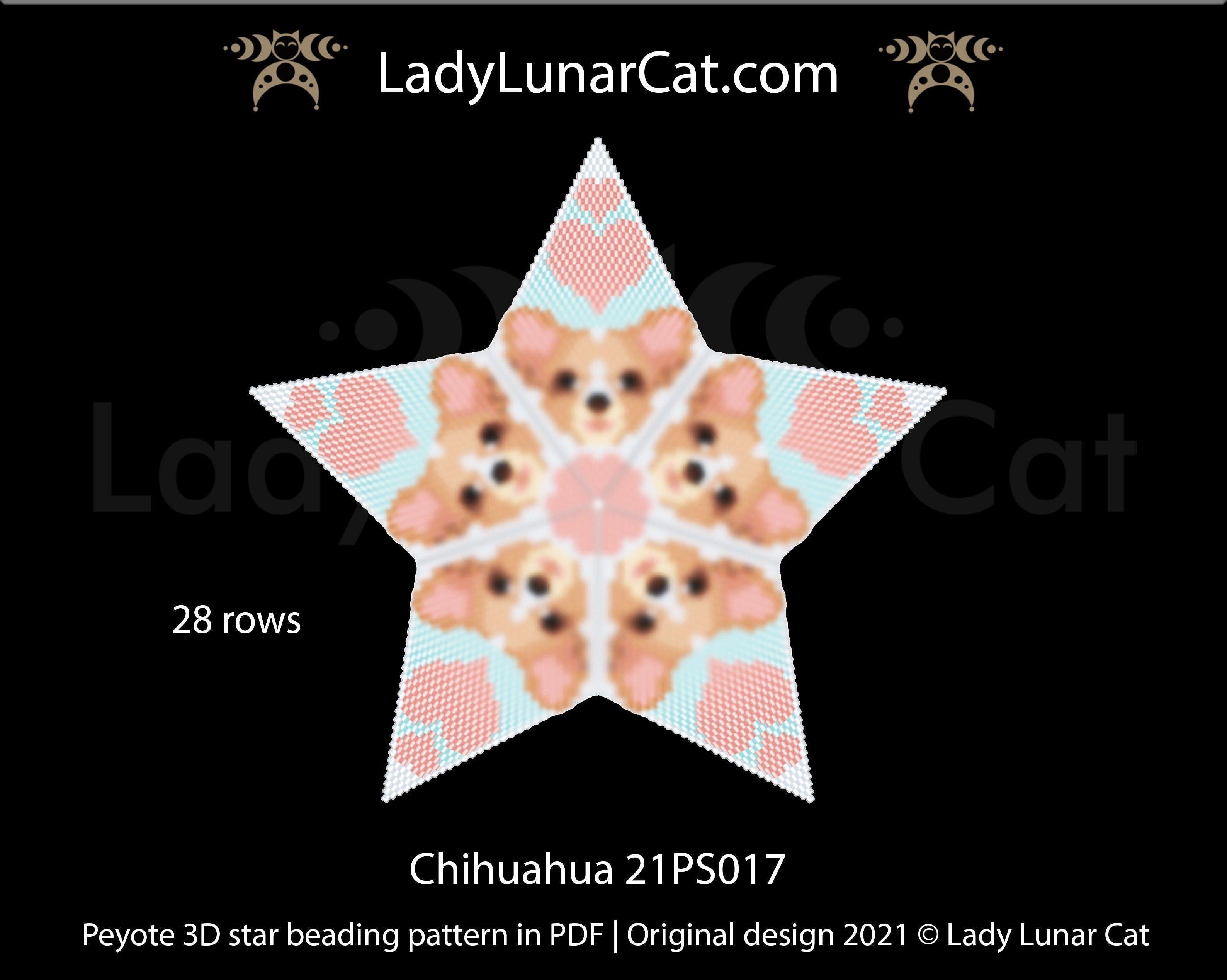 ５Cニャンパッタ Beaded star pattern - Chihuahua 21PS017 by Lady Lunar Cat