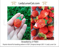 Strawberry peyote egg tutorial - 3D beaded ball cottagecore beginner PDF LadyLunarCat